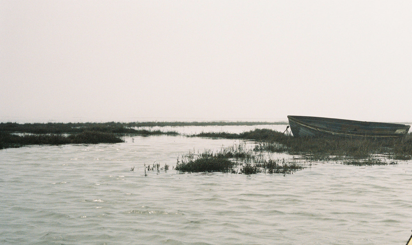 Backwaters