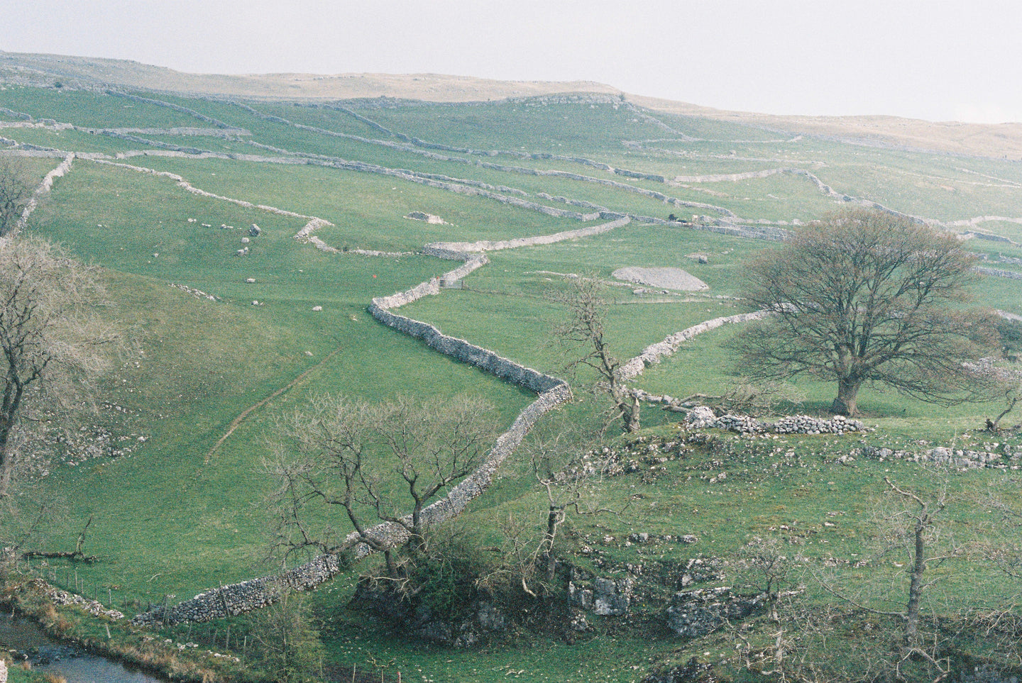 Ingleborough