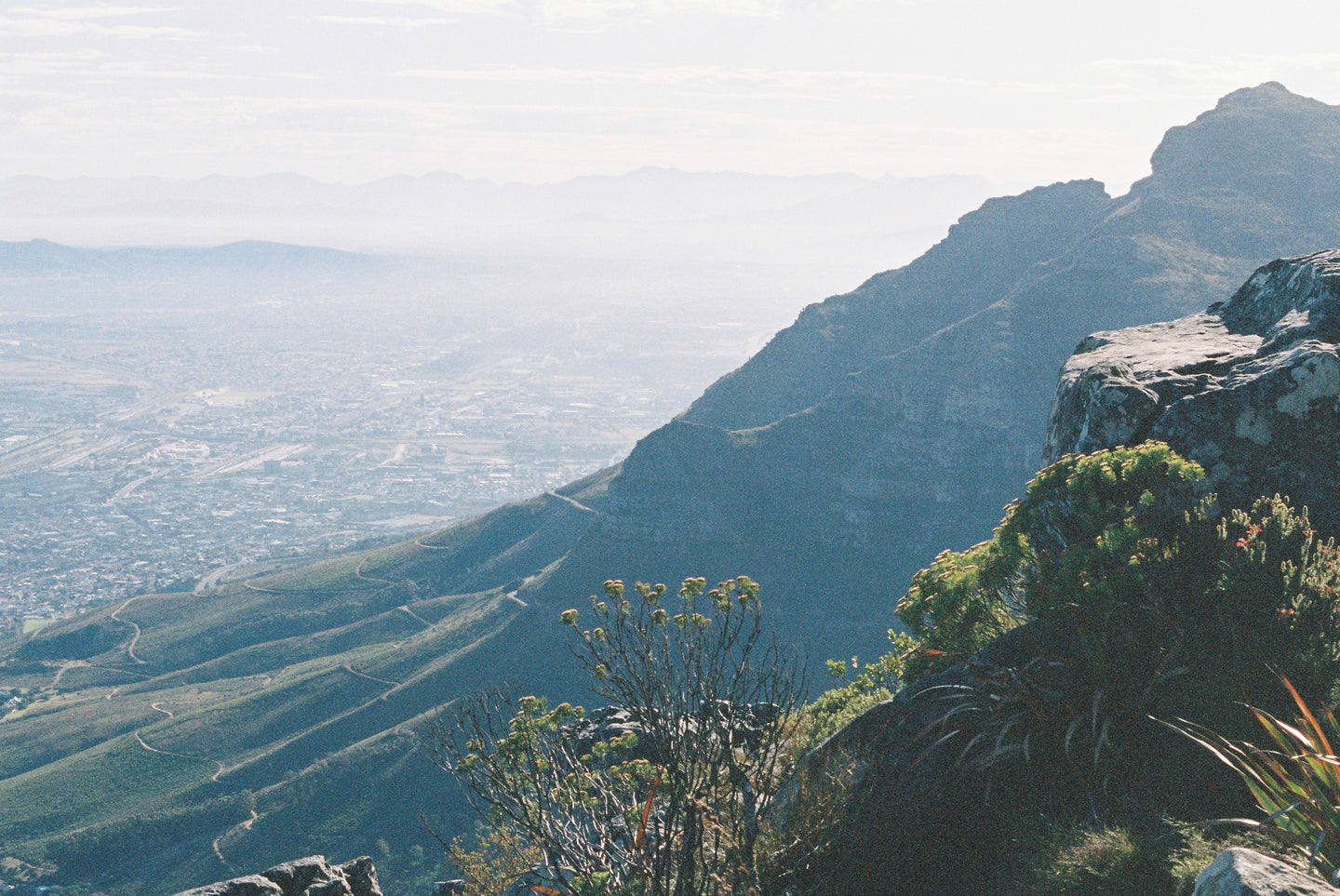 Table Mountain