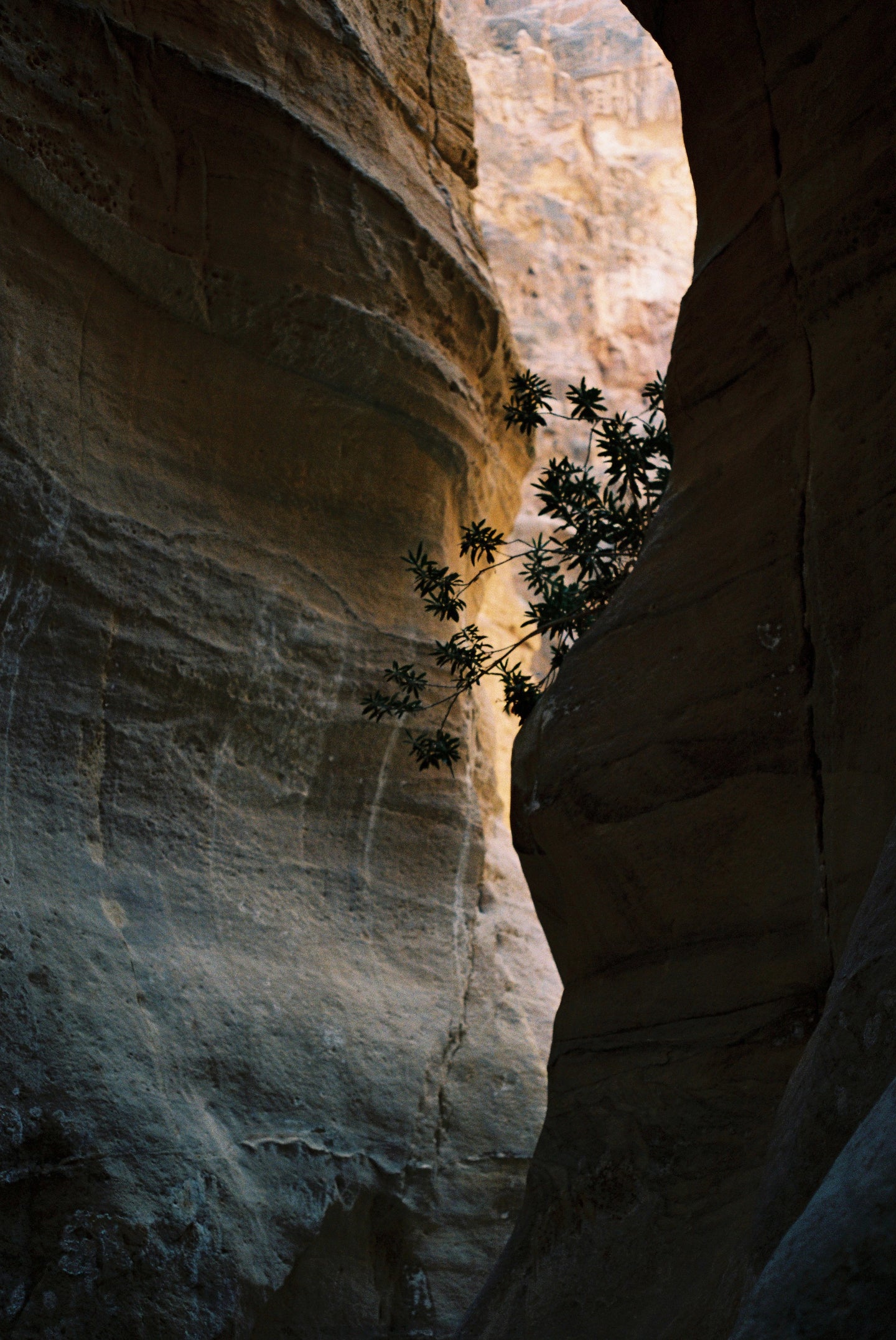 Wadi Dana